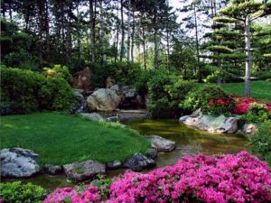 landscape garden